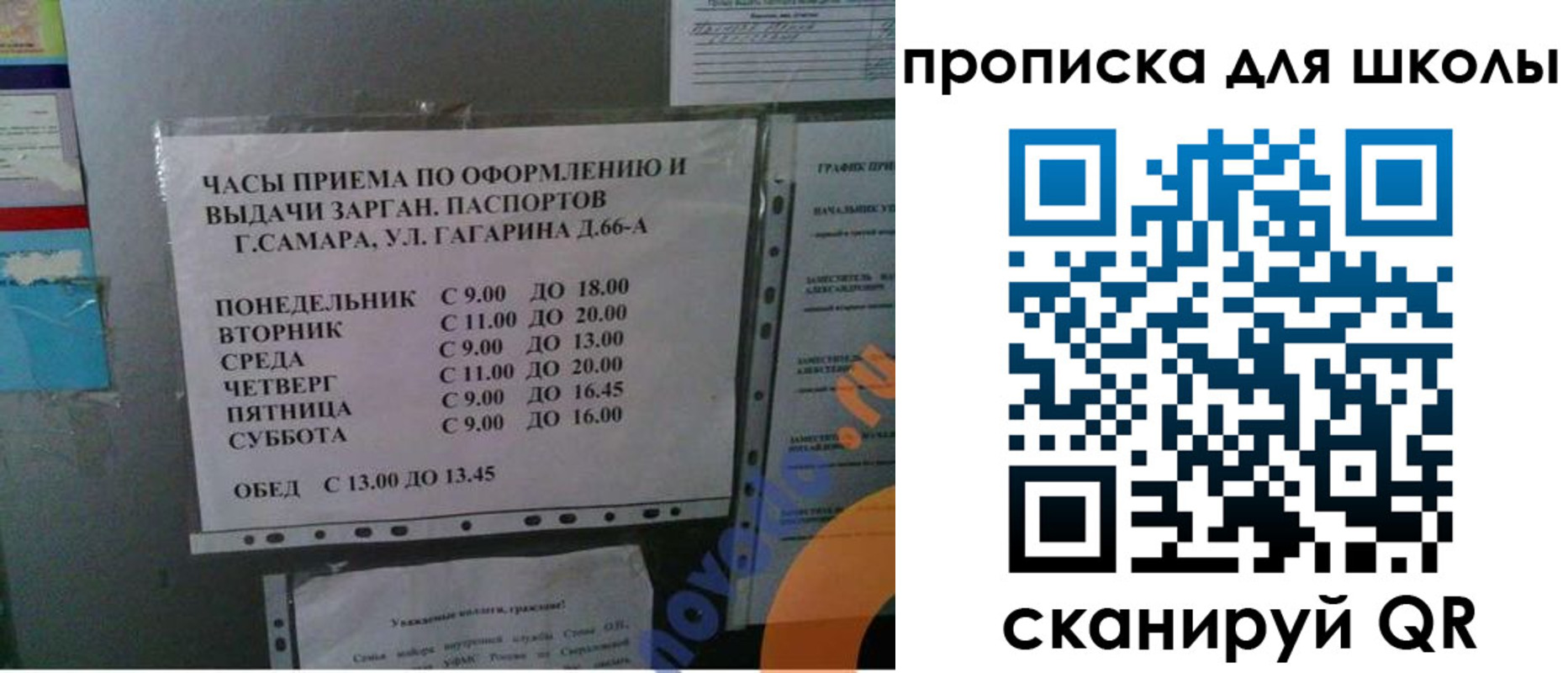 где прописаться в Судогде